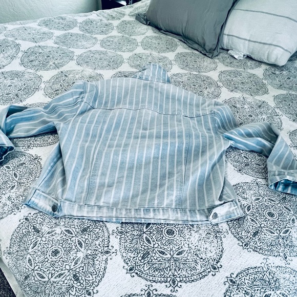 Ivy & Main Jacket - Picture 7 of 12